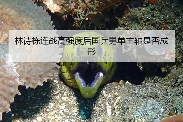 林诗栋连战高强度后国乒男单主轴是否成形